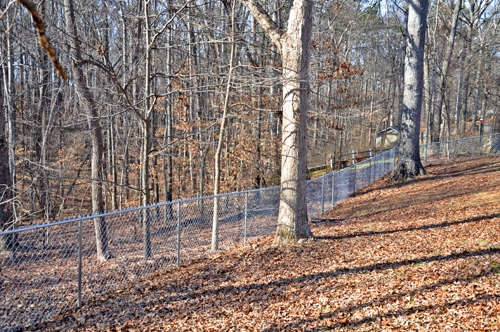 Residential Chain Link